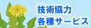 �Z�p���́@�e��T�[�r�X