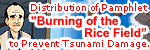 Distribution of Pamphlet "Burning of the Rice Field" to Prevent Tsunami Damage