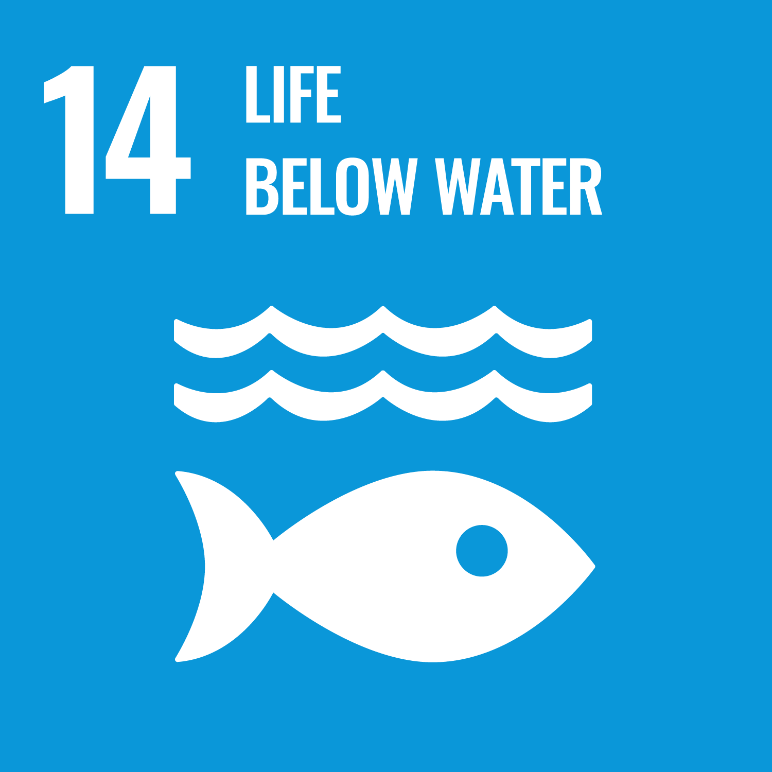 SDGs Goal 14: Life below water