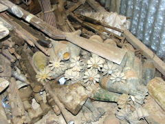stored weapons and ammunition in old warehouse