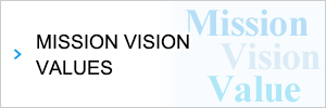 MISSION VISION VALUES