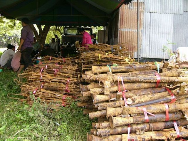 Preparation of weapons before the Destruction Ceremony