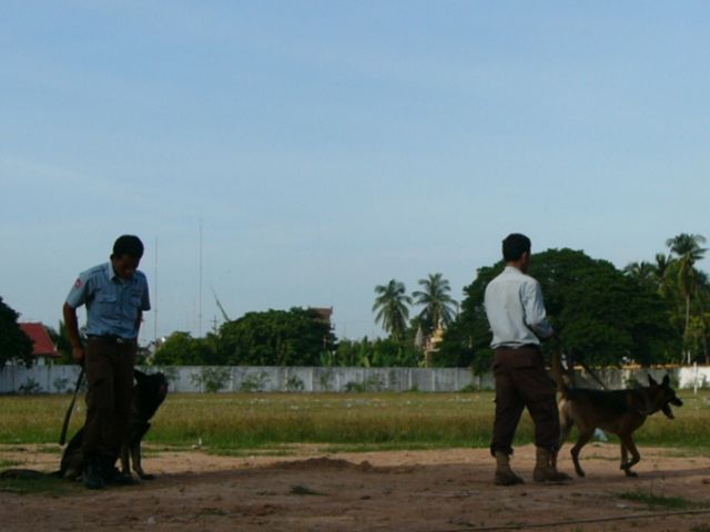 Checking for mines and explosives before the Destruction Ceremony